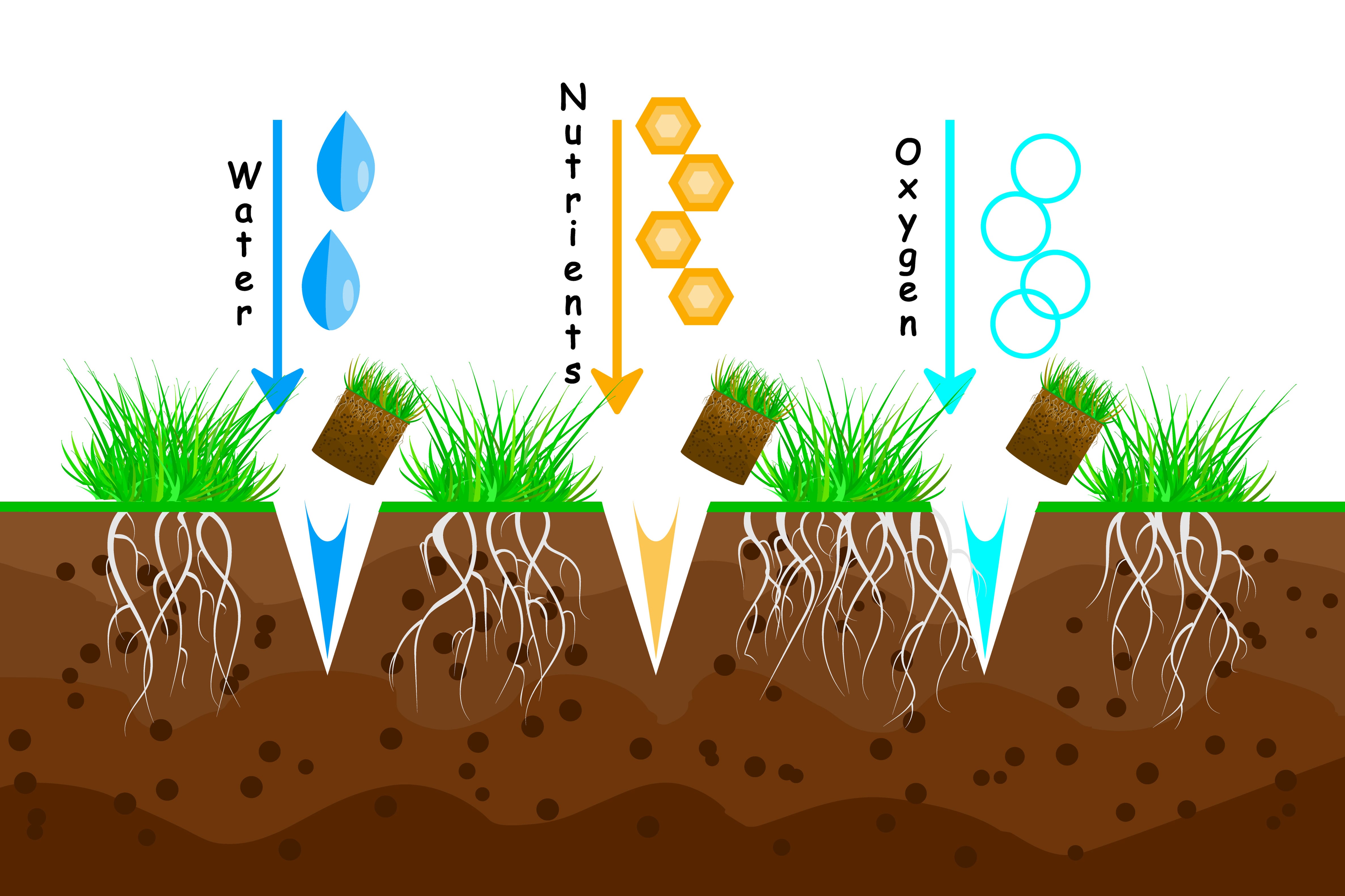 Lawn aeration. Lawn grass care service, gardening and landscape design. Waste of aeration technique used in the upkeep of lawns and turf. Lawn maintenance. Illustration for article, infographics or instruction. Stock vector